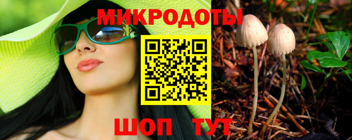 Вязьма  Псилоцибиновые грибы мухоморы  Вход с VPN  Псилоцибиновые грибы Cubensis 