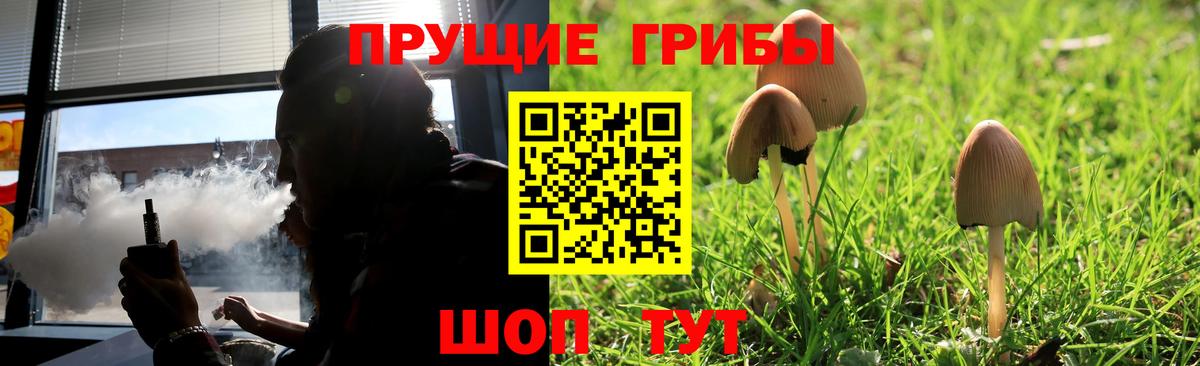 Псилоцибиновые грибы Cubensis  Вязьма  Галлюциногенные грибы GOLDEN TEACHER 