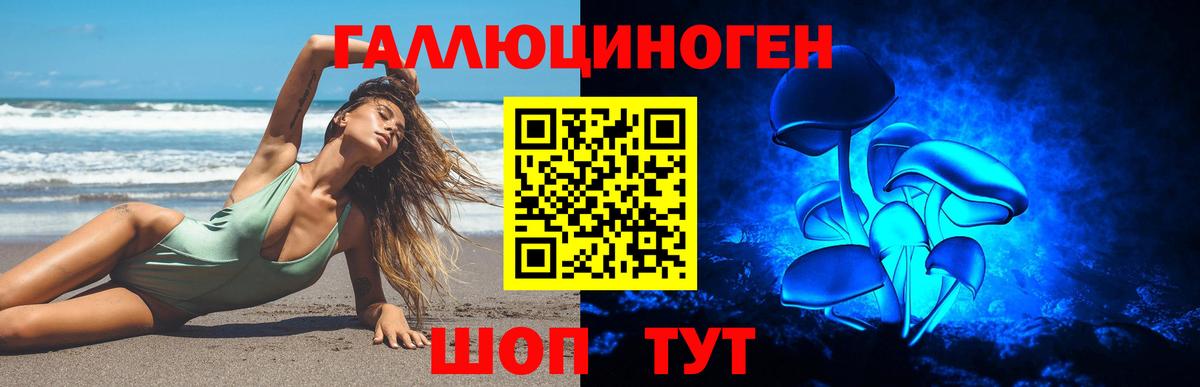 ГАШ Вязьма