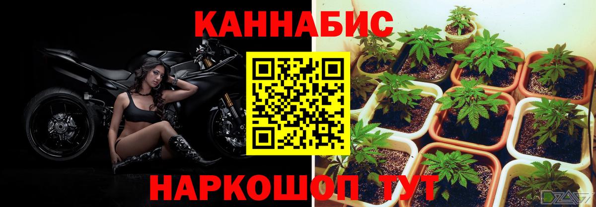 Конопля тримм  Канабис AK-47  Вязьма  Вход с VPN  Канабис конопля 